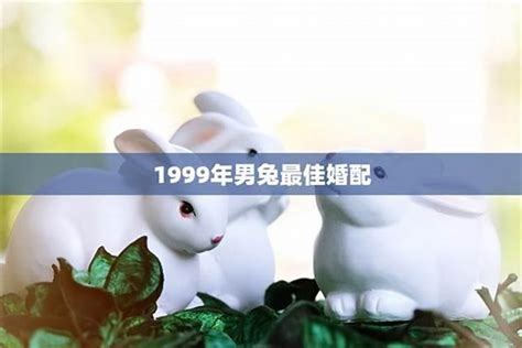 1999生肖配對|1999年属兔婚姻配对表 1999年属兔的婚配表